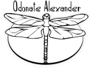 Odonate Alexander